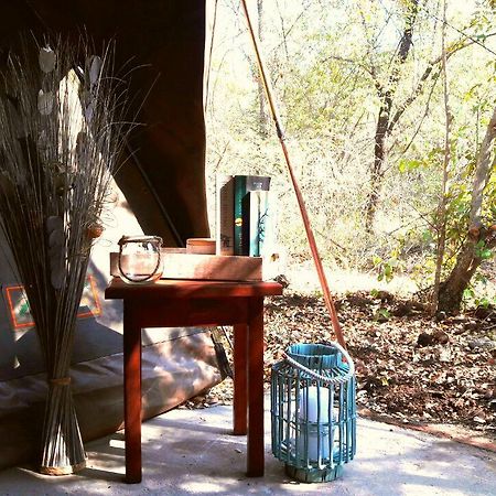 Beyond The Boma Boutique Guesthouse Marloth Park Εξωτερικό φωτογραφία
