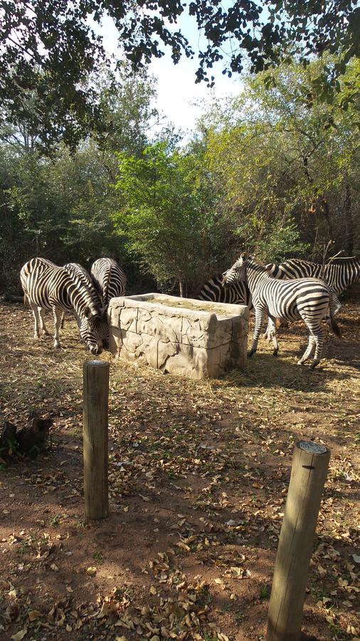 Beyond The Boma Boutique Guesthouse Marloth Park Εξωτερικό φωτογραφία