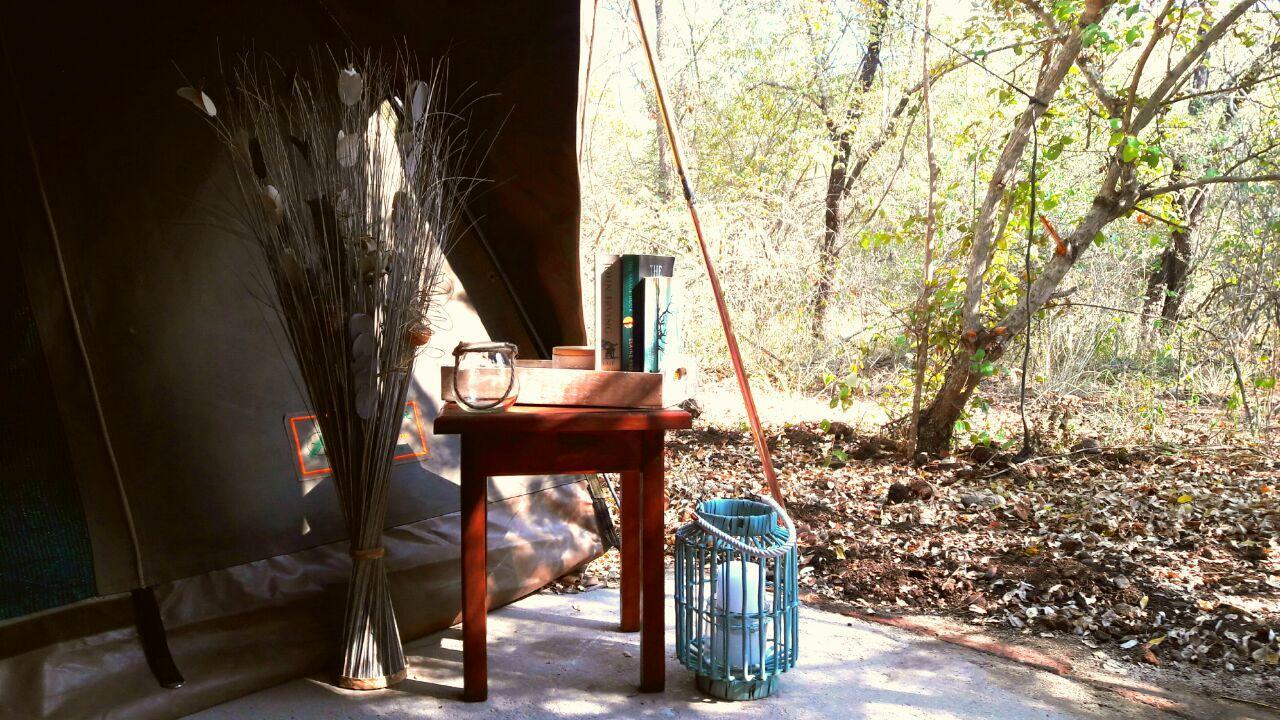 Beyond The Boma Boutique Guesthouse Marloth Park Εξωτερικό φωτογραφία